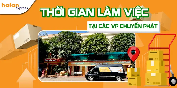 Văn Phòng Hà Lan Nguyễn Trãi: Quán Cà Phê Chuẩn Châu Âu Giữa Lòng Hà Nội