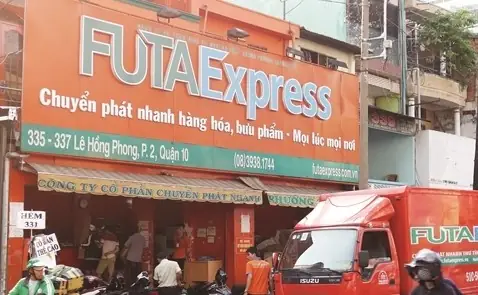 Văn Phòng Phương Trang Hàng Xanh: Tổng Quan Đầy Đủ Về Không Gian Làm Việc Xanh Và Bền Vững