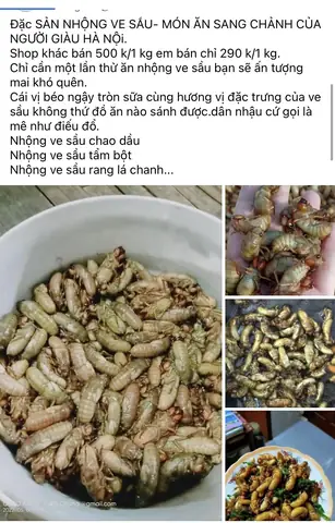 Bánh Ướt Làm Món Gì Ngon? 7 Công Thức Đơn Giản Tại Nhà