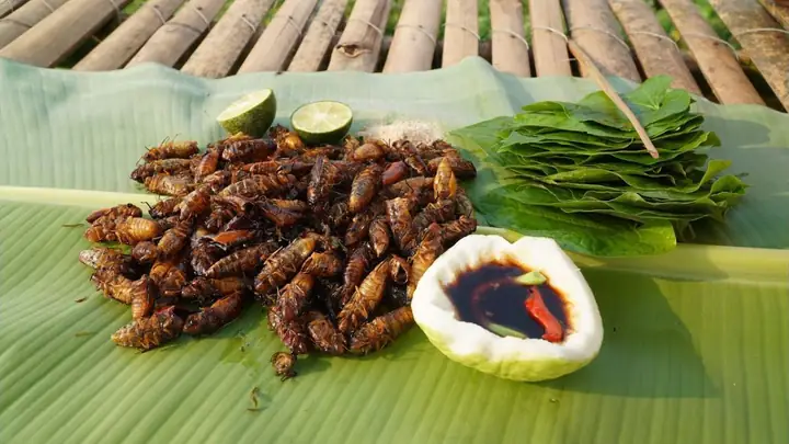 Bánh Ướt Làm Món Gì Ngon? 7 Công Thức Đơn Giản Tại Nhà