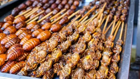 Bánh Ướt Làm Món Gì Ngon? 7 Công Thức Đơn Giản Tại Nhà