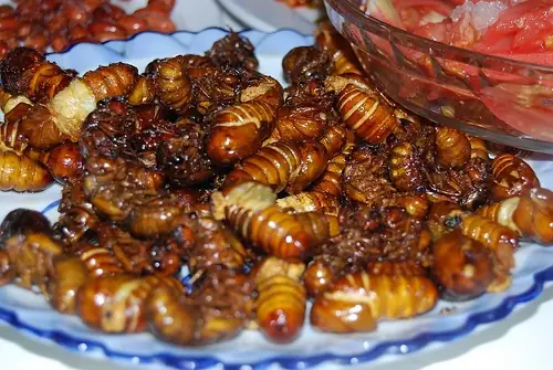 Bánh Ướt Làm Món Gì Ngon? 7 Công Thức Đơn Giản Tại Nhà