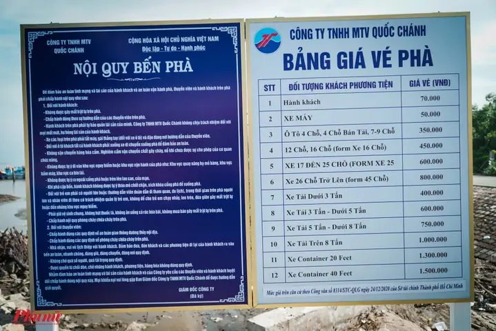 Top 5 Hãng Tàu Cao Tốc Cần Giờ - Vũng Tàu Uy Tín Nhất 2026