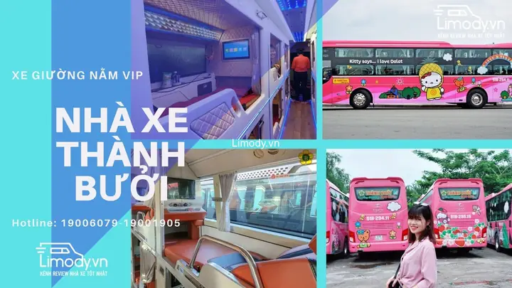Hướng Dẫn Đặt Vé Xe Thành Bưởi Sài Gòn – Đà Lạt Nhanh Gọn Hướng Dẫn Đặt Vé Xe Thành Bưởi Sài Gòn – Đà Lạt Nhanh Gọn