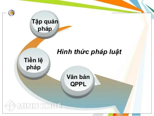 Tập Quán Pháp: Khái Niệm, Điều Kiện & Ví Dụ Minh Họa