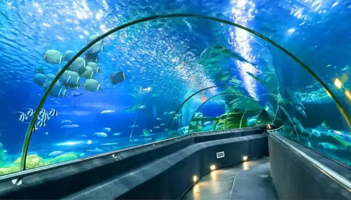 Khám Phá Viện Hải Dương Học Nha Trang – Hướng Dẫn Thăm Quan