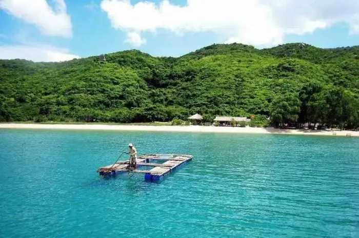 Vịnh Ninh Vân Nha Trang Nằm Ở Đâu? Cẩm Nang Du Lịch Toàn Diện Nhất
