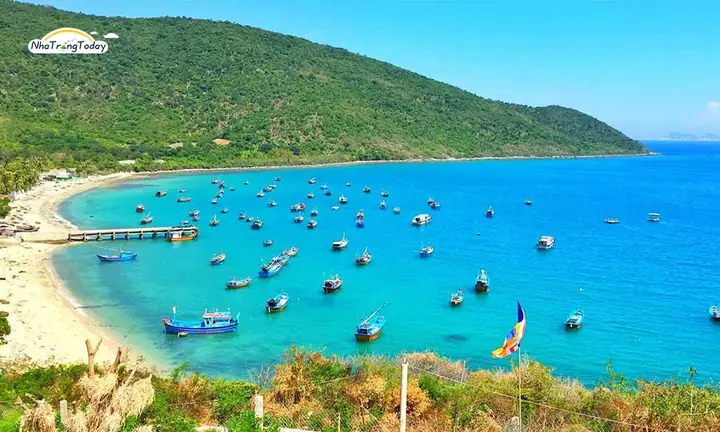 Khám Phá Vịnh Vân Phong: Hướng Dẫn Du Lịch Chi Tiết Cho Du Khách Khám Phá Vịnh Vân Phong: Hướng Dẫn Du Lịch Chi Tiết Cho Du Khách