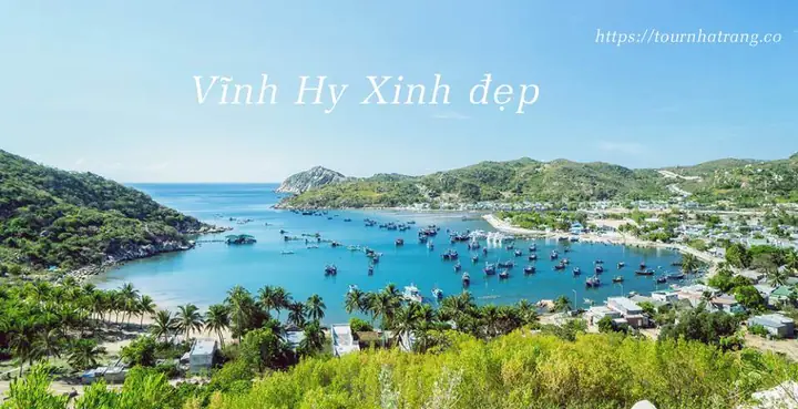 Vịnh Vĩnh Hy Ninh Thuận: Cẩm Nang Du Lịch Chi Tiết Từ A-z