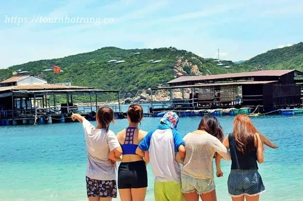 Vịnh Vĩnh Hy Ninh Thuận: Cẩm Nang Du Lịch Chi Tiết Từ A-z