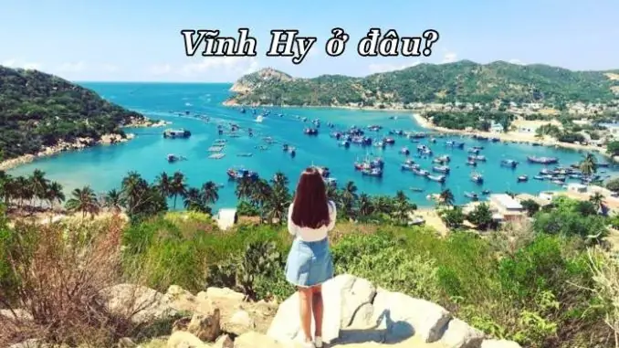Vịnh Vĩnh Hy Ninh Thuận: Cẩm Nang Du Lịch Chi Tiết Từ A-z