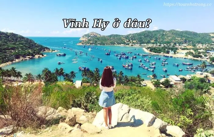 Vịnh Vĩnh Hy Ninh Thuận: Cẩm Nang Du Lịch Chi Tiết Từ A-z