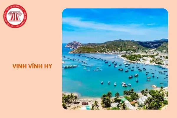 Vịnh Vĩnh Hy Ở Tỉnh Nào? Khám Phá Vị Trí, Đặc Điểm Và Những Điều Cần Biết