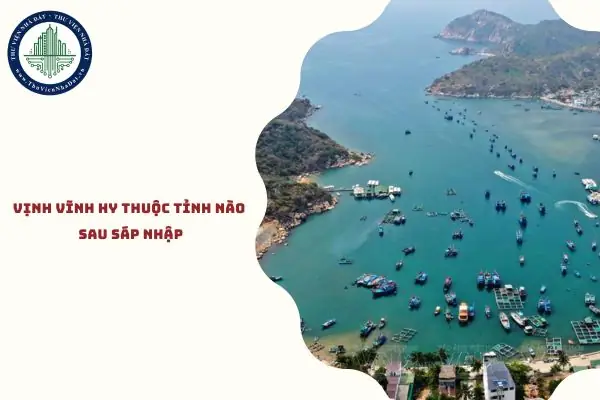 Vịnh Vĩnh Hy: Thiên Đường Biển Xanh Ninh Thuận