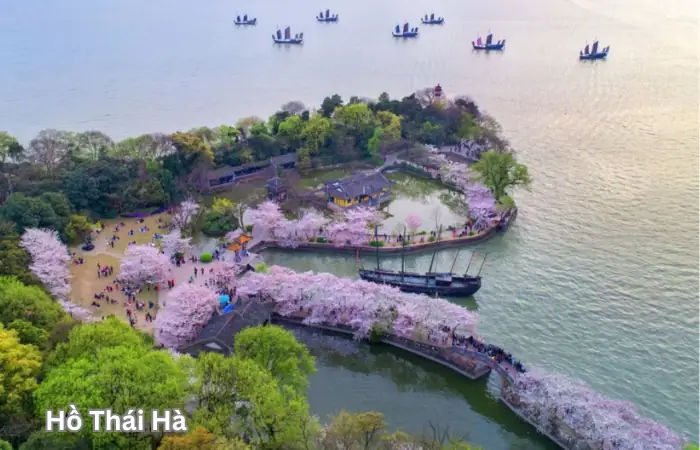 Review Du Lịch Vô Tích Giang Tô: Khi Nghỉ Dưỡng Bên Hồ Thái Hồ Gặp Gỡ Lịch Sử