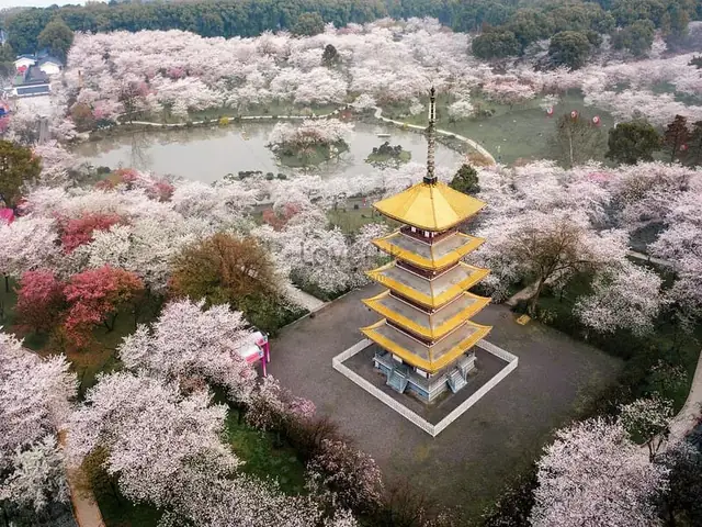Vũ Hán Hồ Bắc Trung Quốc: Tổng Quan, Lịch Sử Và Giá Trị Du Lịch Vũ Hán Hồ Bắc Trung Quốc: Tổng Quan, Lịch Sử Và Giá Trị Du Lịch
