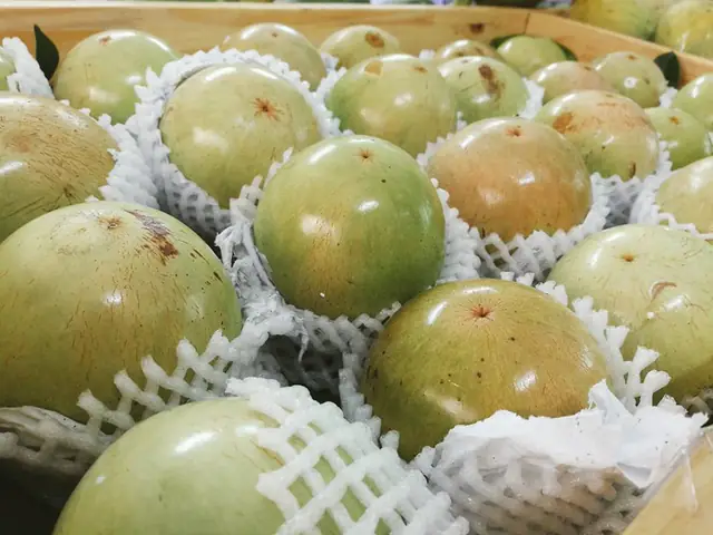 Đánh Giá Chi Tiết Vú Sữa Lò Rèn Vĩnh Kim: Trải Nghiệm Ẩm Thực Đặc Sản Đánh Giá Chi Tiết Vú Sữa Lò Rèn Vĩnh Kim: Trải Nghiệm Ẩm Thực Đặc Sản