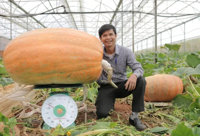 Vườn Bí Đỏ Khổng Lồ Đà Lạt: Điểm Đến Đáng Khám Phá Vườn Bí Đỏ Khổng Lồ Đà Lạt: Điểm Đến Đáng Khám Phá