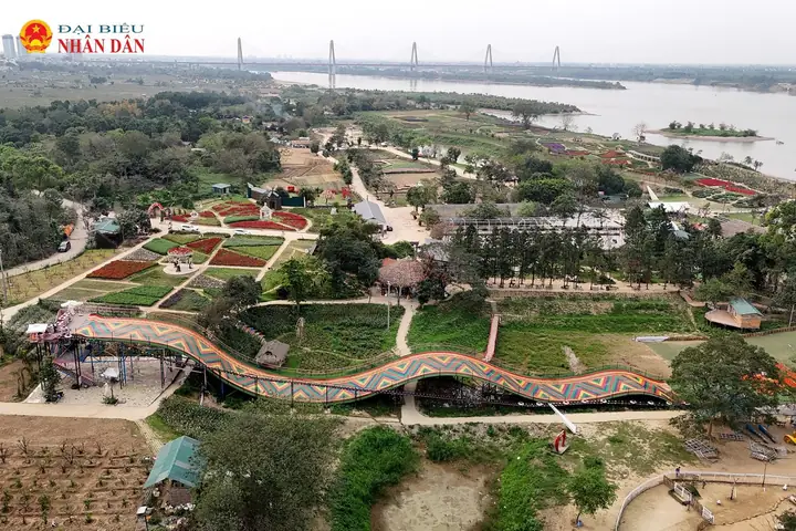 Hướng Dẫn Vườn Hoa Bãi Đá Sông Hồng: Giá Vé, Giờ Mở, Mẹo Chụp Hướng Dẫn Vườn Hoa Bãi Đá Sông Hồng: Giá Vé, Giờ Mở, Mẹo Chụp