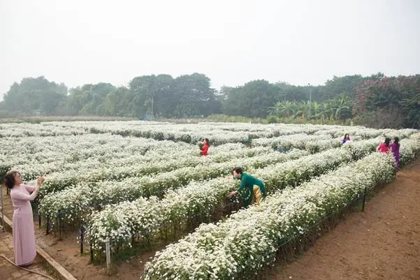 Hướng Dẫn Vườn Hoa Bãi Đá Sông Hồng: Giá Vé, Giờ Mở, Mẹo Chụp Hướng Dẫn Vườn Hoa Bãi Đá Sông Hồng: Giá Vé, Giờ Mở, Mẹo Chụp