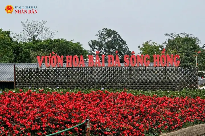 Hướng Dẫn Vườn Hoa Bãi Đá Sông Hồng: Giá Vé, Giờ Mở, Mẹo Chụp Hướng Dẫn Vườn Hoa Bãi Đá Sông Hồng: Giá Vé, Giờ Mở, Mẹo Chụp