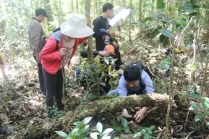 Vườn Quốc Gia Bidoup Núi Bà: Cẩm Nang Khám Phá Thiên Đường Sinh Học Tây Nguyên