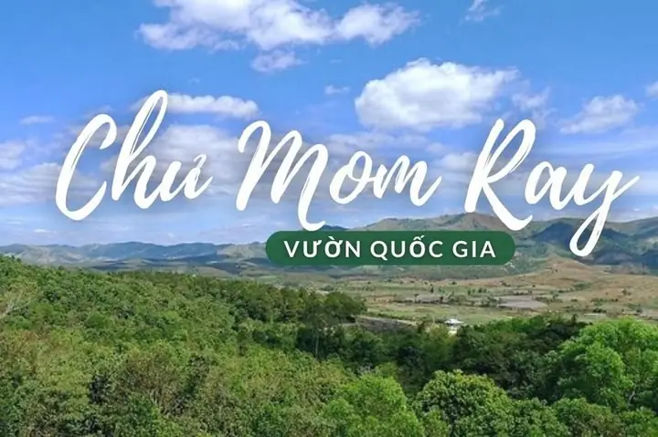 Khám Phá Vườn Quốc Gia Chư Mom Ray - Điểm Đến Sinh Thái Đáng Tham Quan Tại Tây Nguyên
