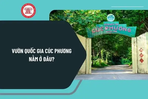 Vườn Quốc Gia Cúc Phương Ở Đâu? Tất Tần Tật Từ Vị Trí Đến Lộ Trình