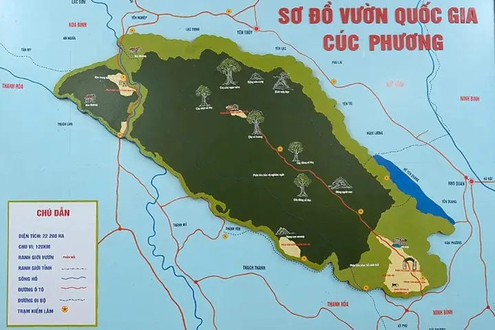 Vườn Quốc Gia Cúc Phương Ở Đâu? Tất Tần Tật Từ Vị Trí Đến Lộ Trình