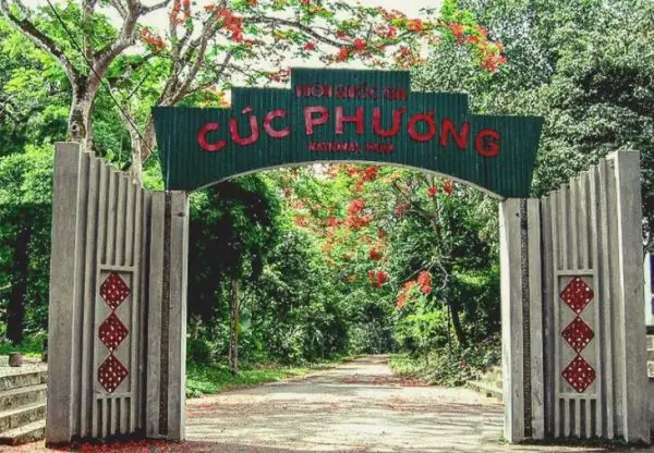 Vườn Quốc Gia Cúc Phương Ở Đâu? Tất Tần Tật Từ Vị Trí Đến Lộ Trình