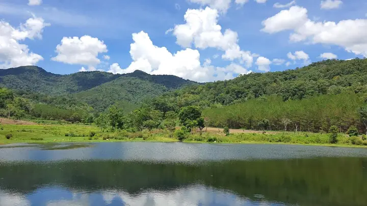 Vườn Quốc Gia Kon Ka Kinh Là Gì Và Điểm Đến Nào Đáng Khám Phá? Vườn Quốc Gia Kon Ka Kinh Là Gì Và Điểm Đến Nào Đáng Khám Phá?