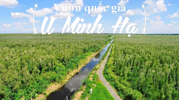 Khám Phá Vườn Quốc Gia U Minh Hạ: Cẩm Nang Trải Nghiệm Tổng Hợp