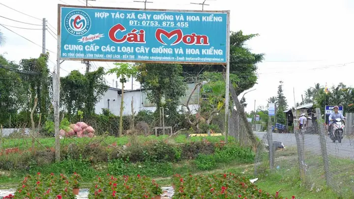 Khám Phá Vườn Trái Cây Cái Mơn – Hướng Dẫn Du Lịch