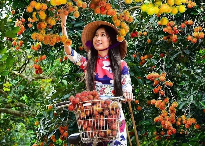 Vườn Trái Cây Chú Ba Cư Có Đáng Đến Không? Đánh Giá Trải Nghiệm Thực Tế
