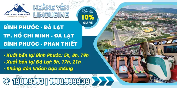 Xe Bình Phước Đi Đà Lạt: Hướng Dẫn Chi Tiết Hành Trình Khám Phá Núi Rừng Tây Nguyên Xe Bình Phước Đi Đà Lạt: Hướng Dẫn Chi Tiết Hành Trình Khám Phá Núi Rừng Tây Nguyên