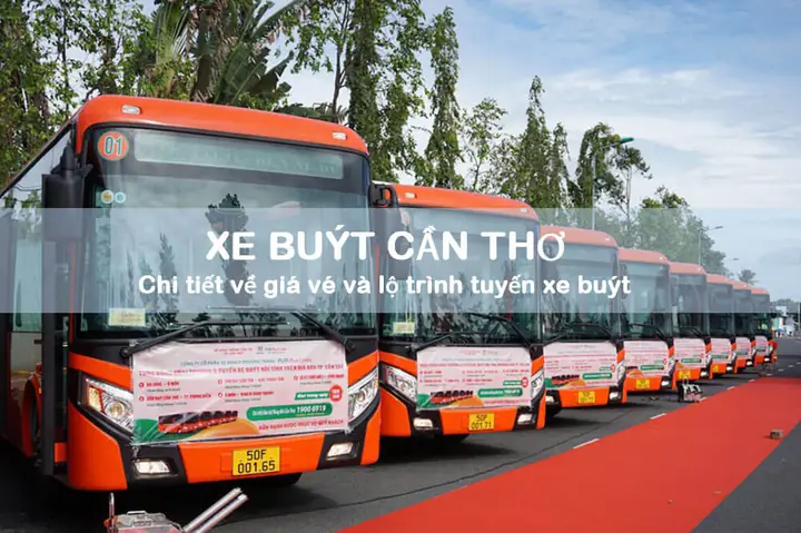 Hướng Dẫn Di Chuyển Từ Sóc Trăng Đến Cần Thơ Bằng Xe Buýt: Thông Tin Chi Tiết & Mẹo Thực Tế Hướng Dẫn Di Chuyển Từ Sóc Trăng Đến Cần Thơ Bằng Xe Buýt: Thông Tin Chi Tiết & Mẹo Thực Tế