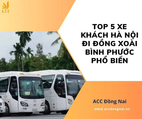 Xe Đi Đồng Xoài – Bình Phước: Hướng Dẫn Chi Tiết Và Thông Tin Cần Biết