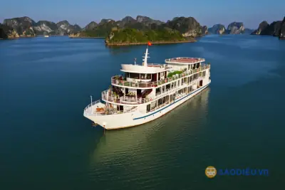 Cẩm Nang Xe Khách Hà Nội Hạ Long: Lựa Chọn Tối Ưu Cho Chuyến Đi