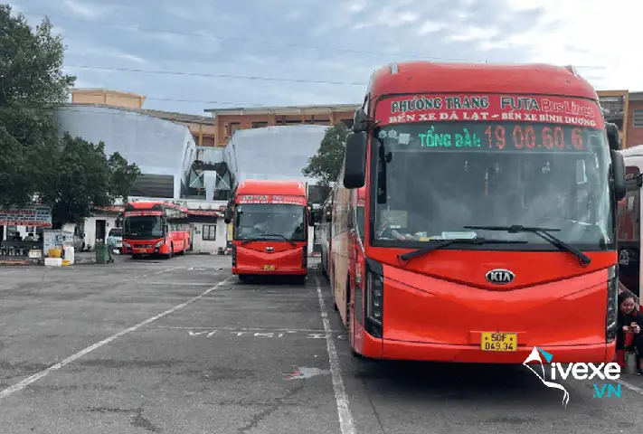 Phương Trang: Thông Tin Chi Tiết Về Công Ty Và Dịch Vụ