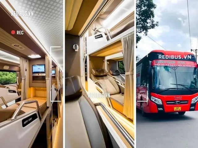 Phương Trang: Thông Tin Chi Tiết Về Công Ty Và Dịch Vụ