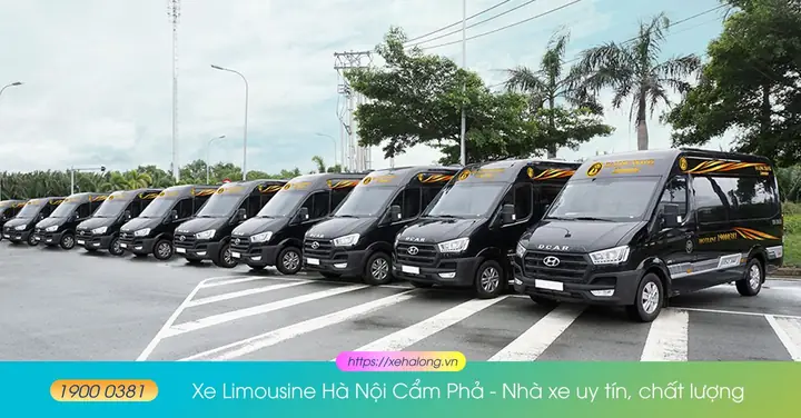 Xe Limousine Hà Nội – Cẩm Phả: Hướng Dẫn Chi Tiết Lựa Chọn Và Sử Dụng Dịch Vụ Chuyên Nghiệp