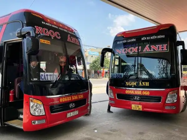 Review Chi Tiết Xe Ngọc Ánh Cát Tiên Đi Sài Gòn: Uy Tín, Giá Vé & Trải Nghiệm Thực Tế