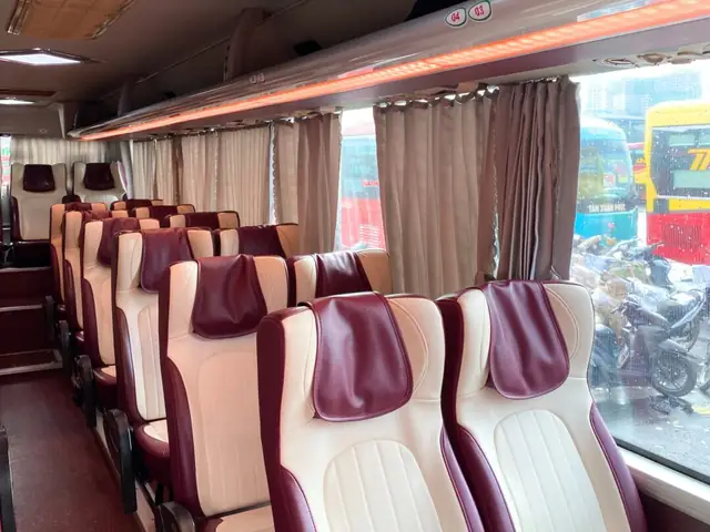 Hướng Dẫn Đặt Vé Xe Phương Trang Vũng Tàu Nhanh Chóng Và Giá Tốt