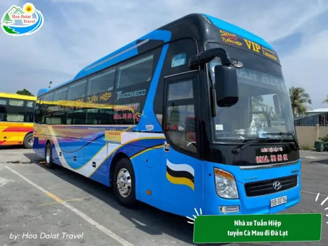 Đặt Vé Xe Khách Tuấn Hiệp: Giá, Lịch Trình & Địa Chỉ Đặt Hàng