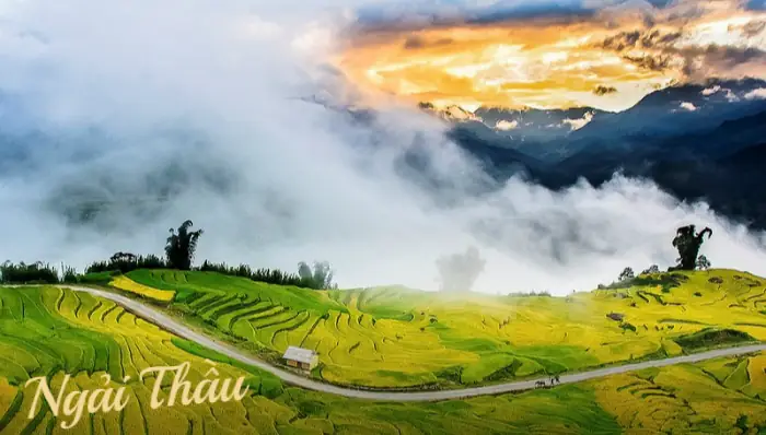 Du Lịch Y Tý Lào Cai: Cẩm Nang Khám Phá Biển Mây Và Các Điểm Đến Vùng Cao