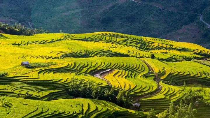 Du Lịch Y Tý Lào Cai: Cẩm Nang Khám Phá Biển Mây Và Các Điểm Đến Vùng Cao