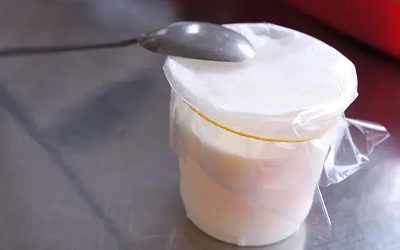 Review Yaourt Phô Mai Tươi Ngọc Nhung: Món Quà Đặc Biệt Từ Đà Lạt Review Yaourt Phô Mai Tươi Ngọc Nhung: Món Quà Đặc Biệt Từ Đà Lạt