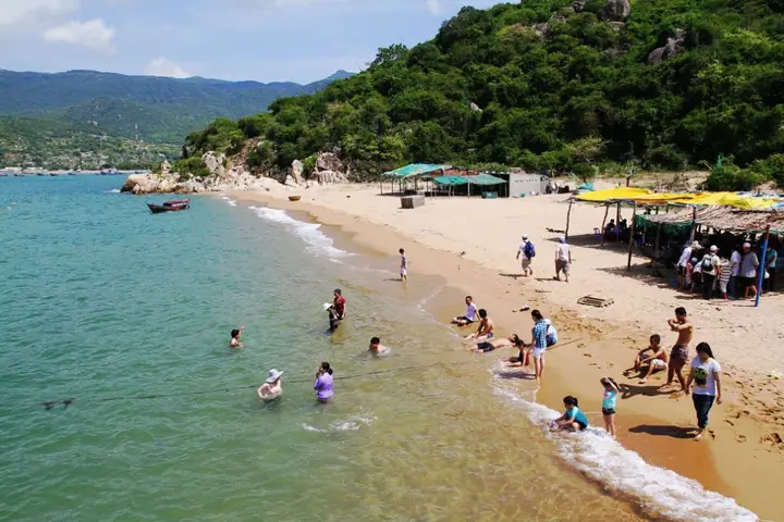 Bãi Biển Ninh Chữ Ở Đâu? Thông Tin Chi Tiết Về Địa Điểm Du Lịch Miền Trung