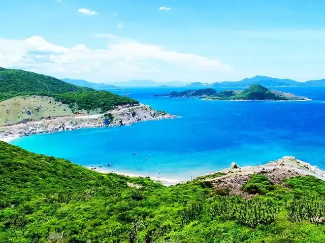 Bãi Biển Ninh Chữ Ở Đâu? Thông Tin Chi Tiết Về Địa Điểm Du Lịch Miền Trung