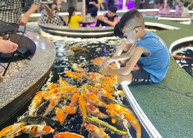 Cà Phê Cá Koi Quận 12 – Địa Chỉ Đáng Thử Cho Người Yêu Thích Không Gian Độc Đáo Và Hương Vị Chất Lượng